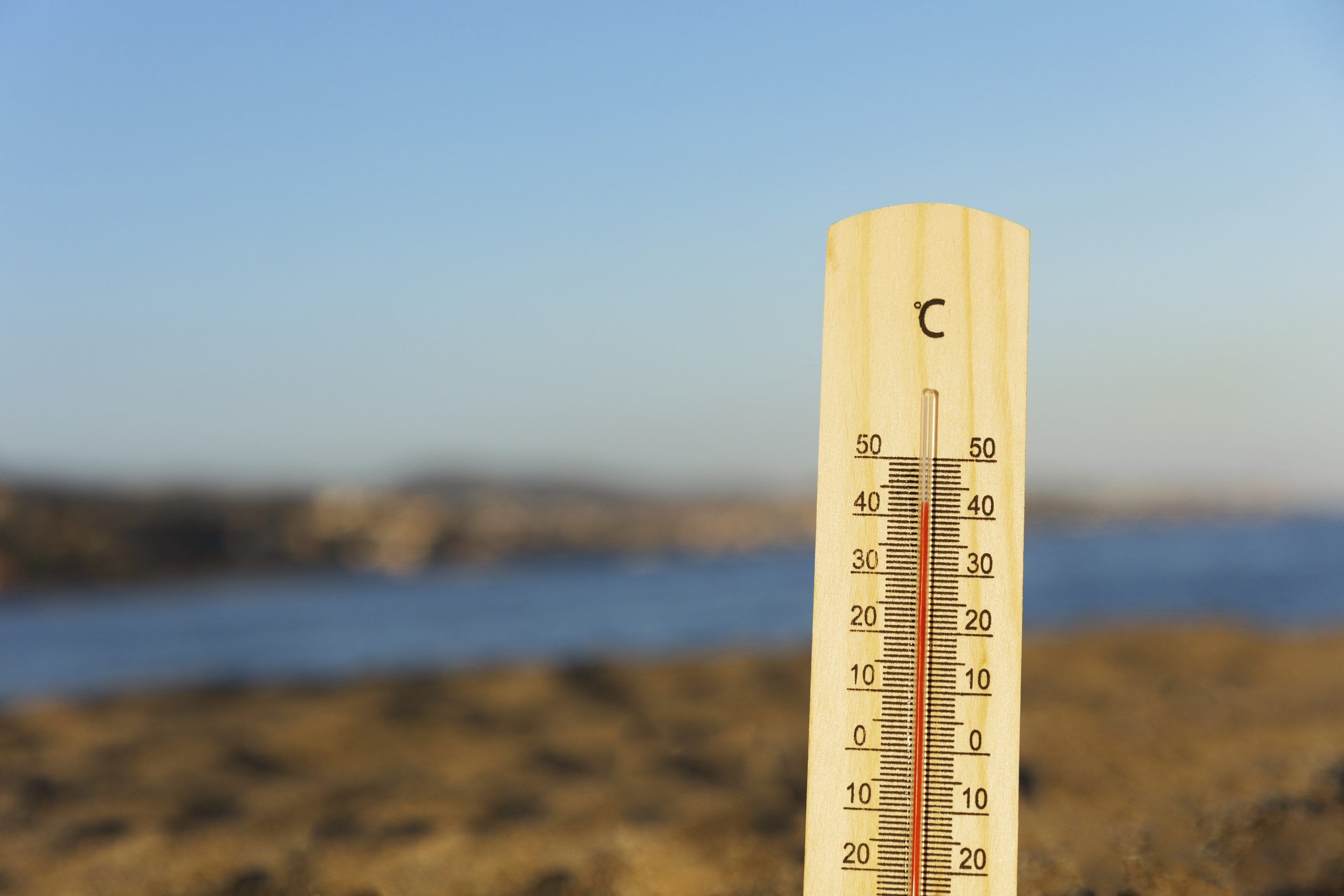 Uwaga wysokie temperatury! Zadbaj o bezpieczeństwo swoje, bliskich i zwierząt