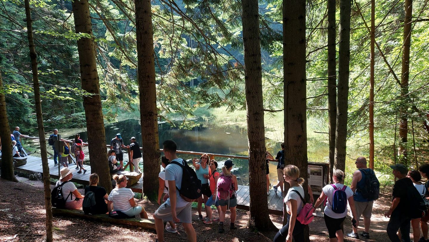 Podsumowanie wycieczek z GOK Borzęcin / zdjęcia