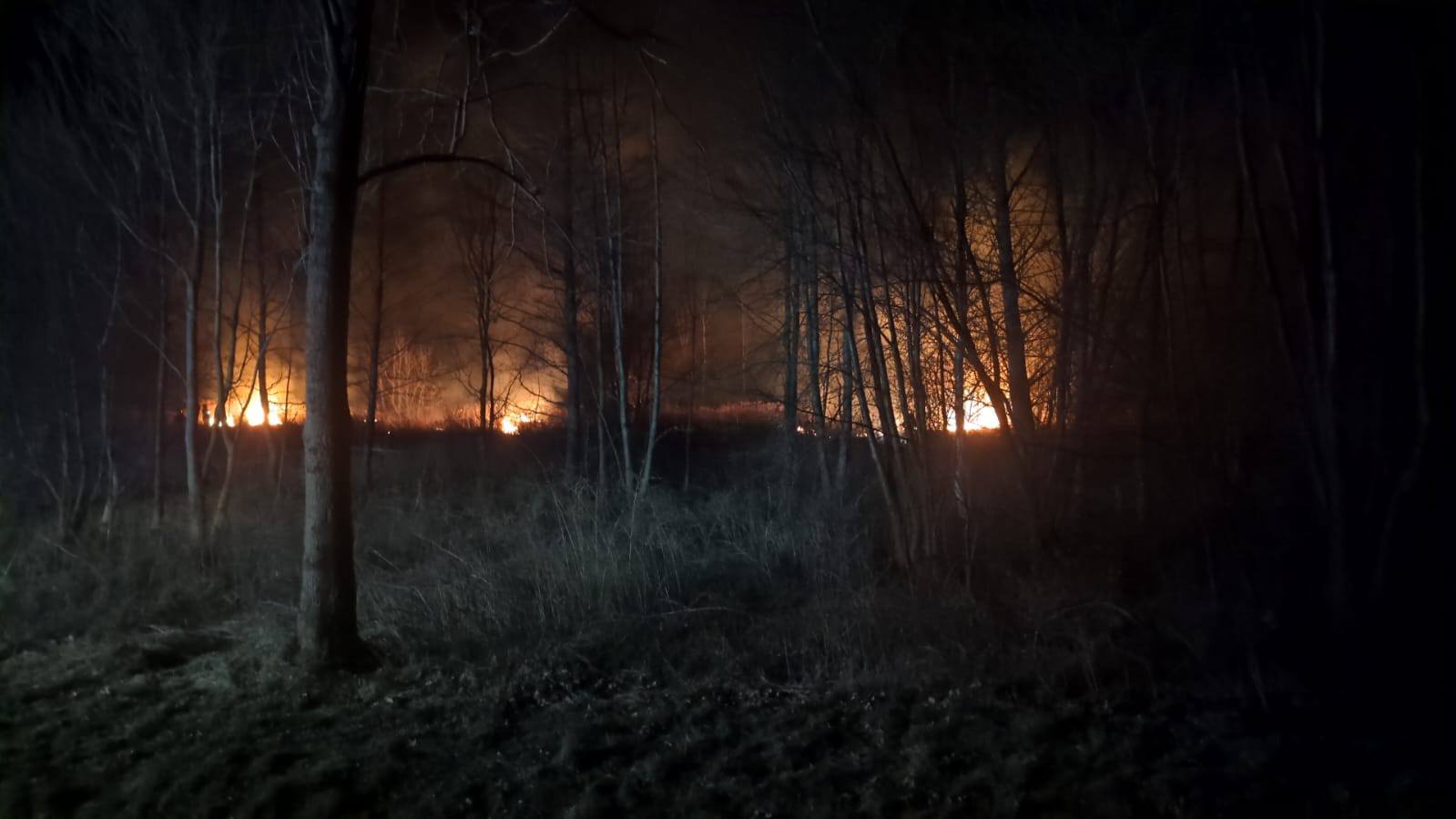 Jadowniki. Pożar nieużytków / zdjęcia