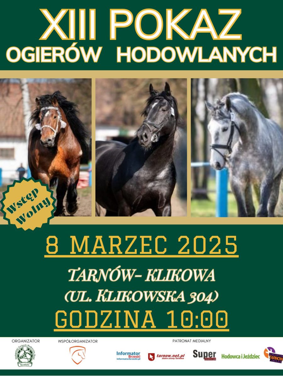 Klikowa. XIII Pokaz Ogierów Hodowlanych – lista wystawców / 8 marca 2025 r.