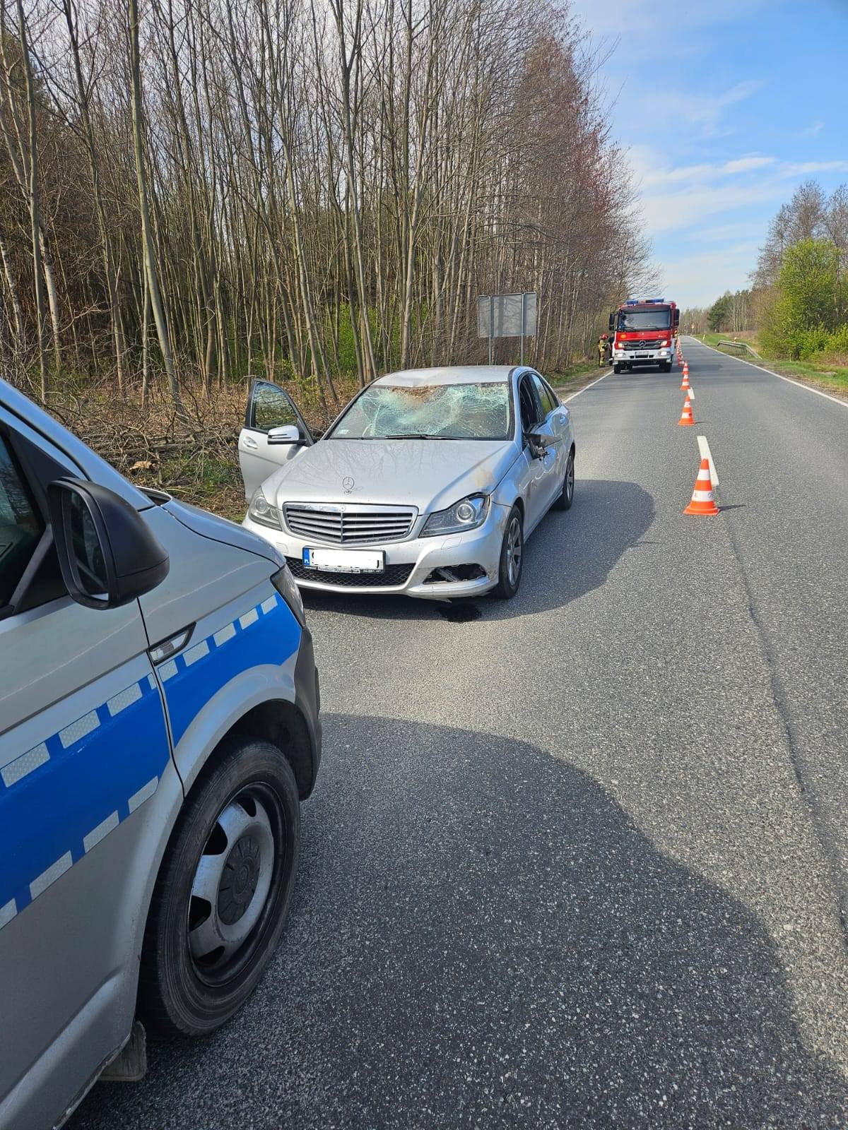 Niedzieliska. Zderzenie samochodu osobowego z sarna / zdjęcia