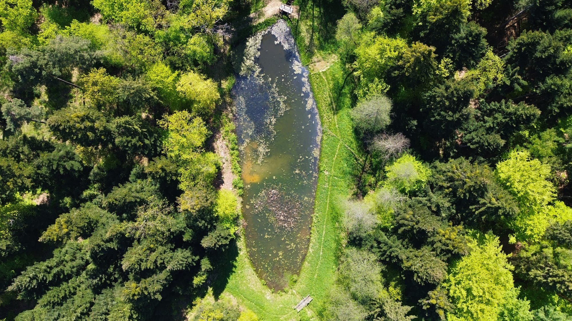 Nadleśnictwo Brzesko. Mała retencja górska – działamy dla wody, lasu i przyrody