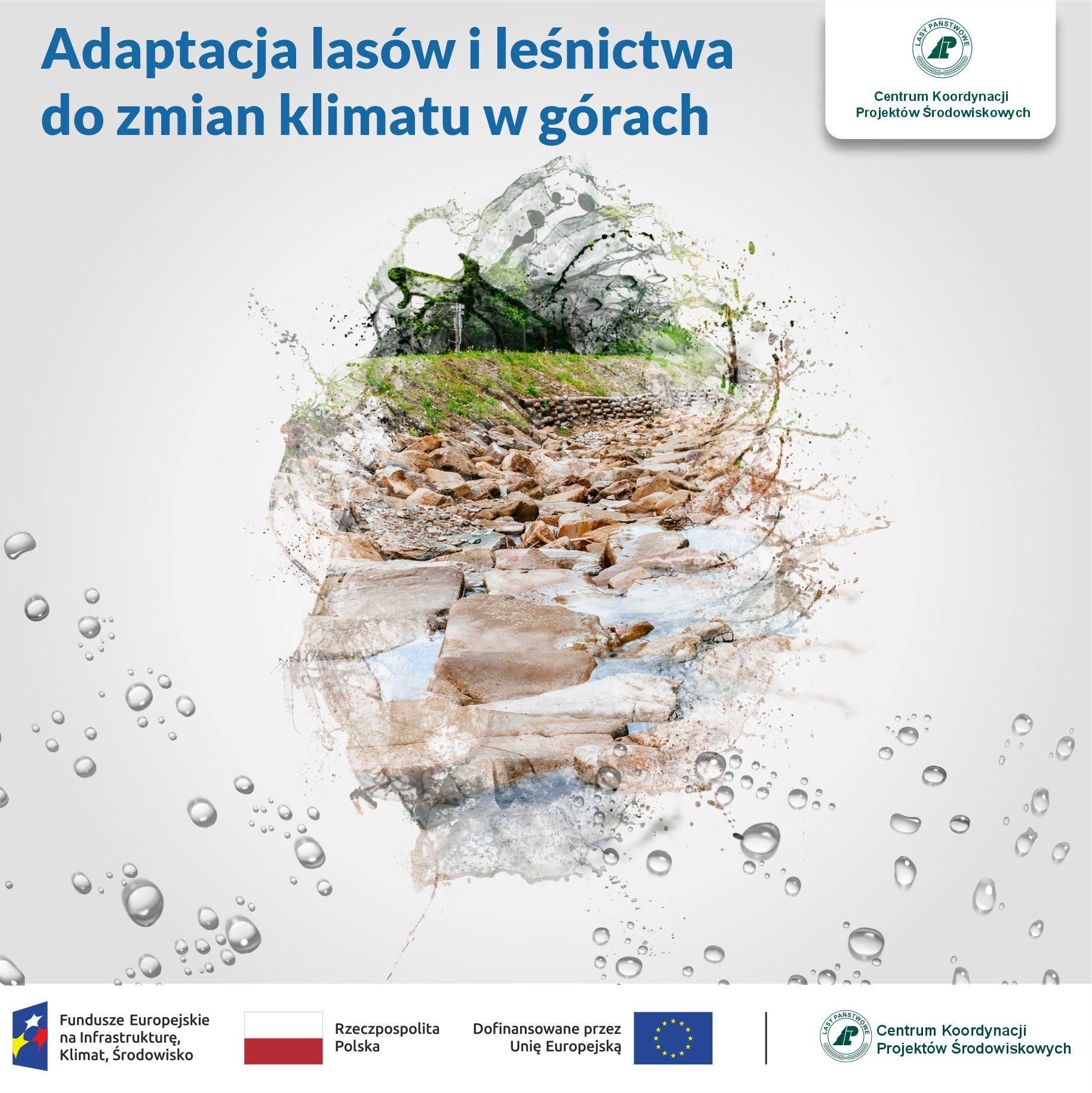 Duży projekt inwestycyjny Nadleśnictwa Brzesko w zakresie małej retencji i przeciwdziałanie erozji wodnej na terenach górskich