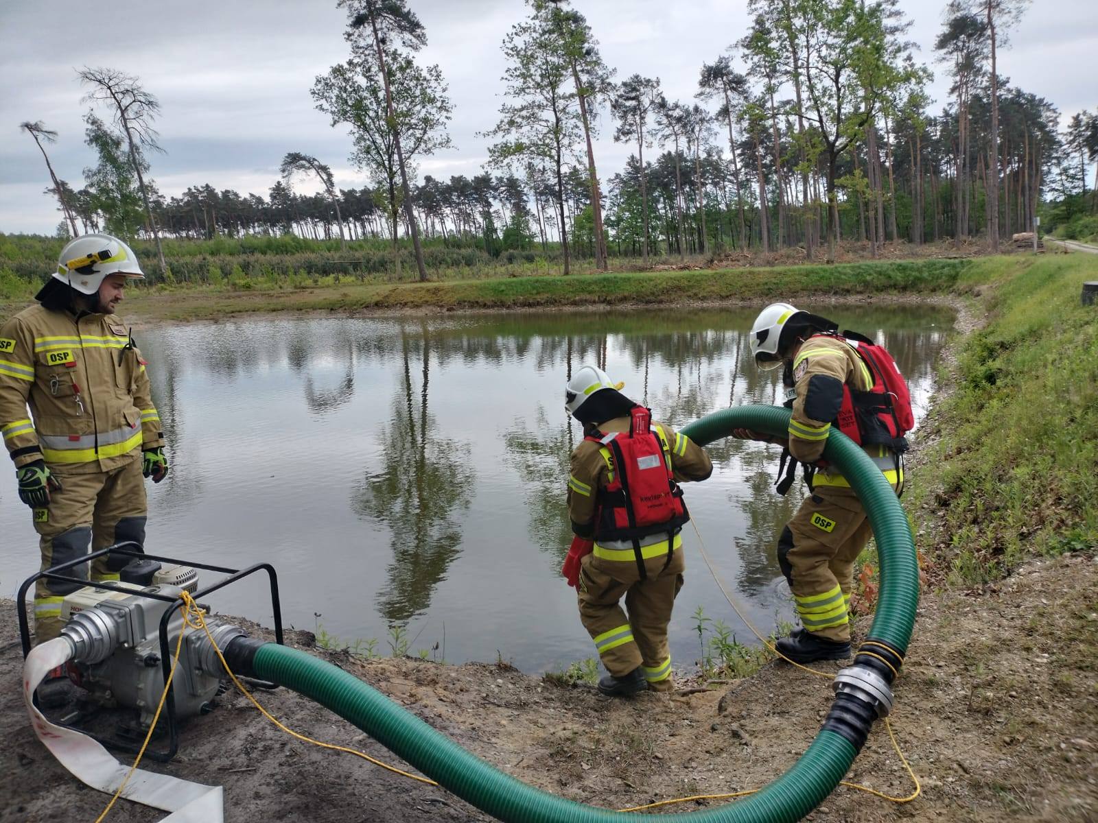 Bielcza. Strażacy ćwiczyli zwalczanie pożaru lasu / zdjęcia