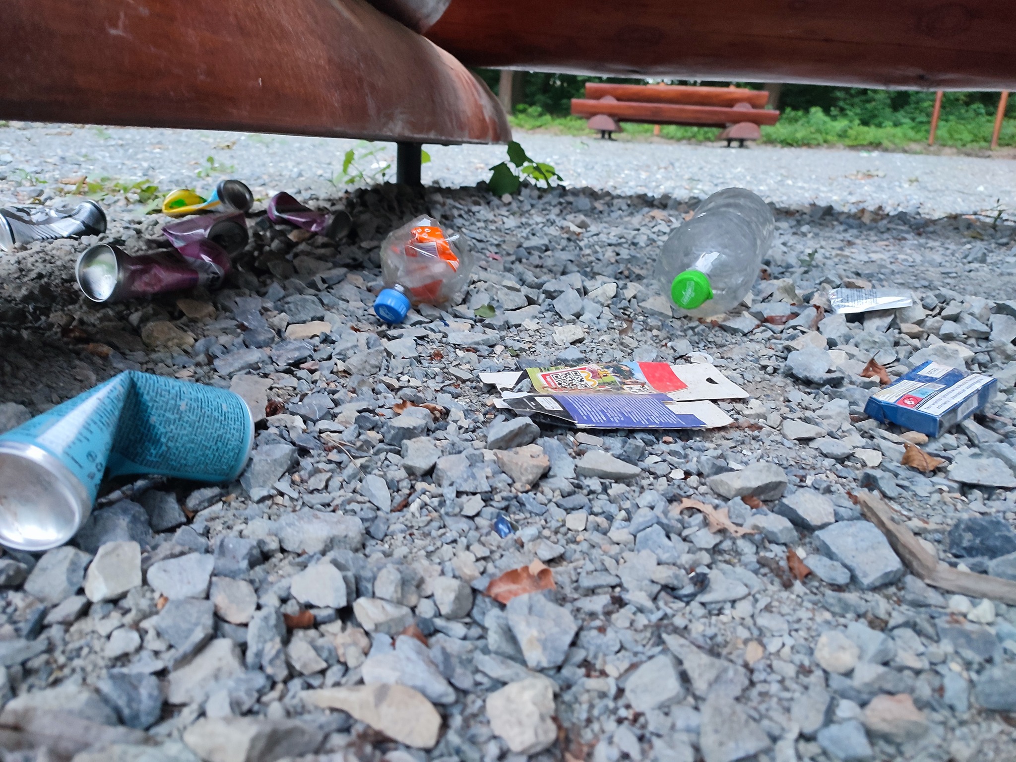 Wandale na 3 Stawach. Apel leśników z Brzeska