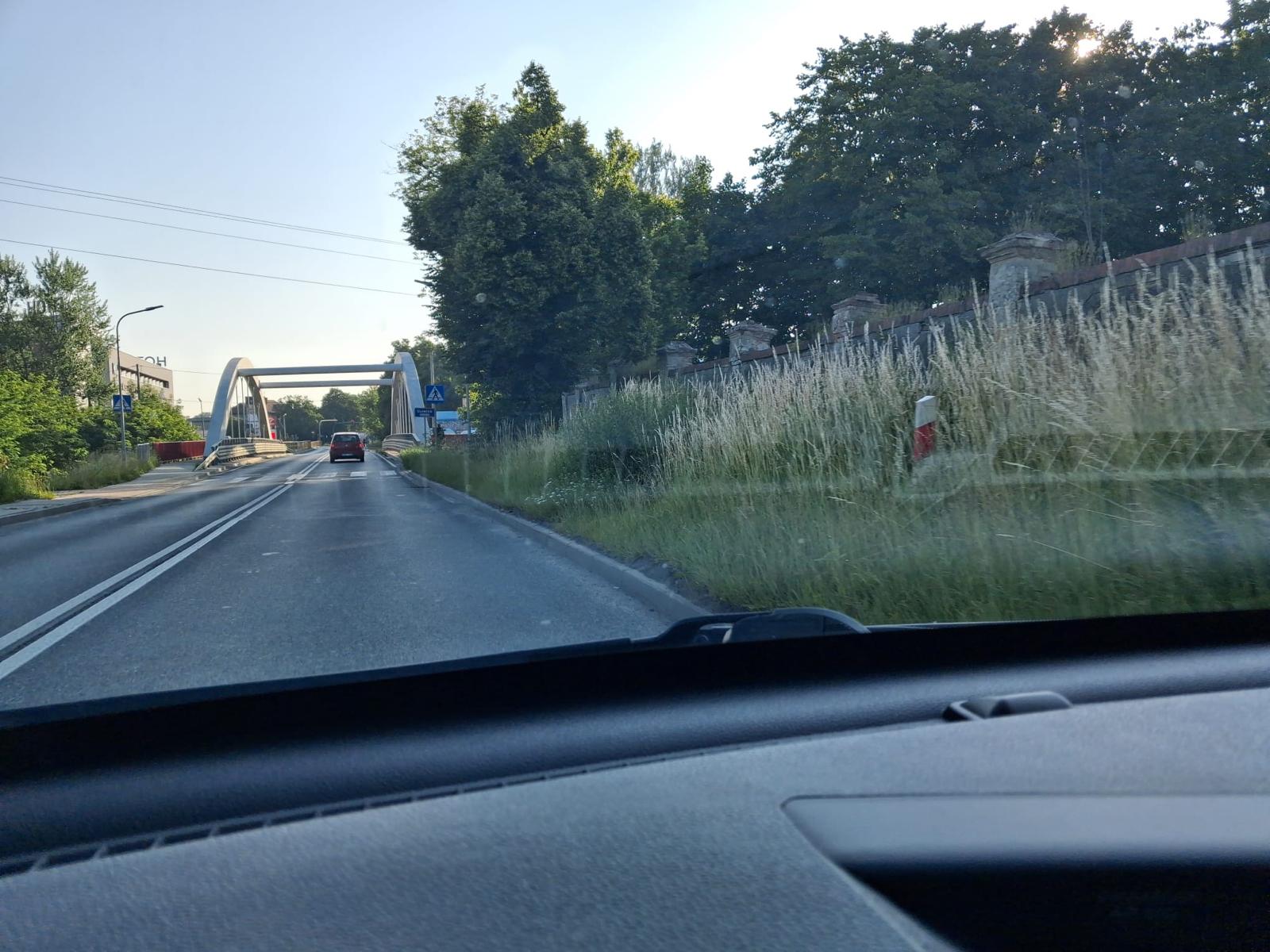 Zarośnięte pobocza tuż przed przejściem dla pieszych. Niebezpiecznie na ul. Mickiewicza w Brzesku