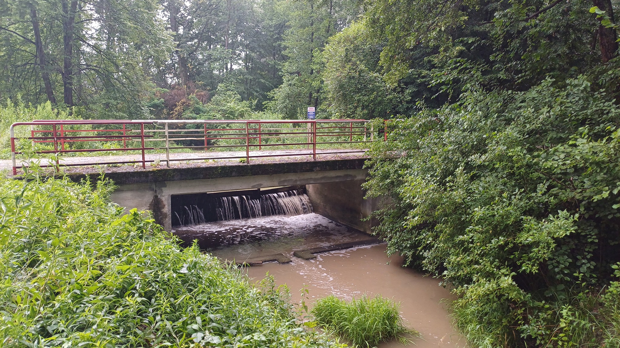 Leśnictwa Bielcza – jak działa retencja na Kisielinie