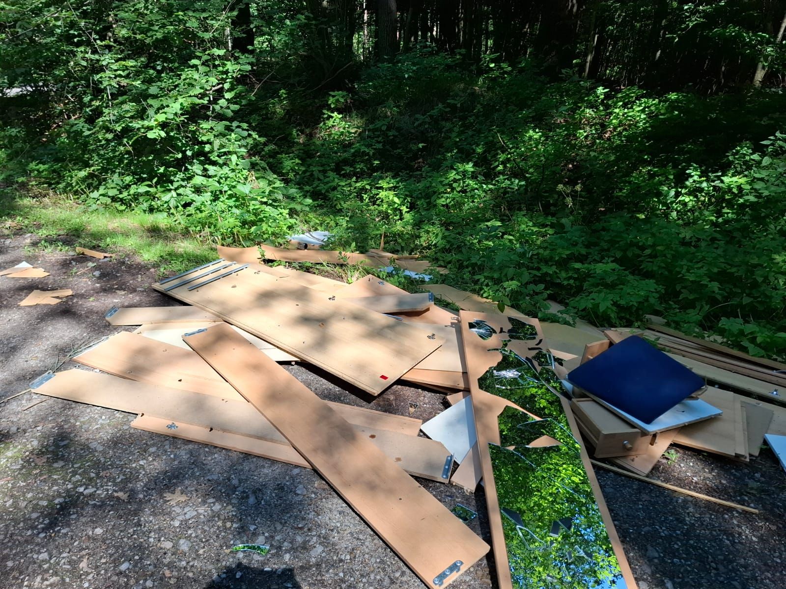 Śmieci w lesie. Apel leśników z Brzeska