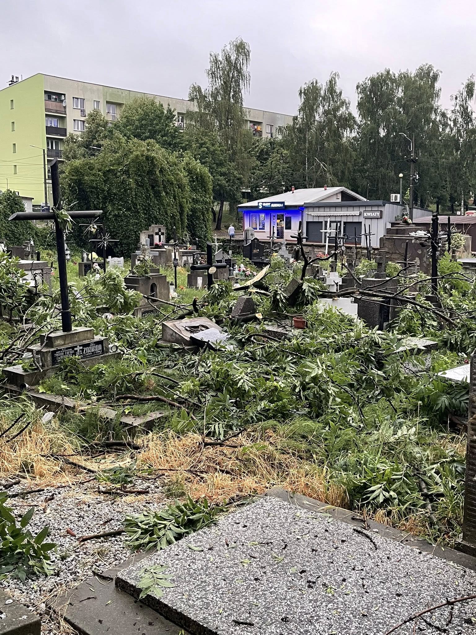 Stary cmentarz w Brzesku uprzątnięty, ale przez cały czas zamknięty