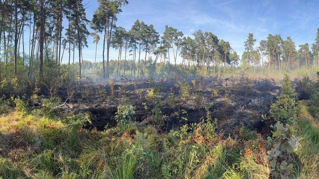 Pożar lasu w Łętowicach