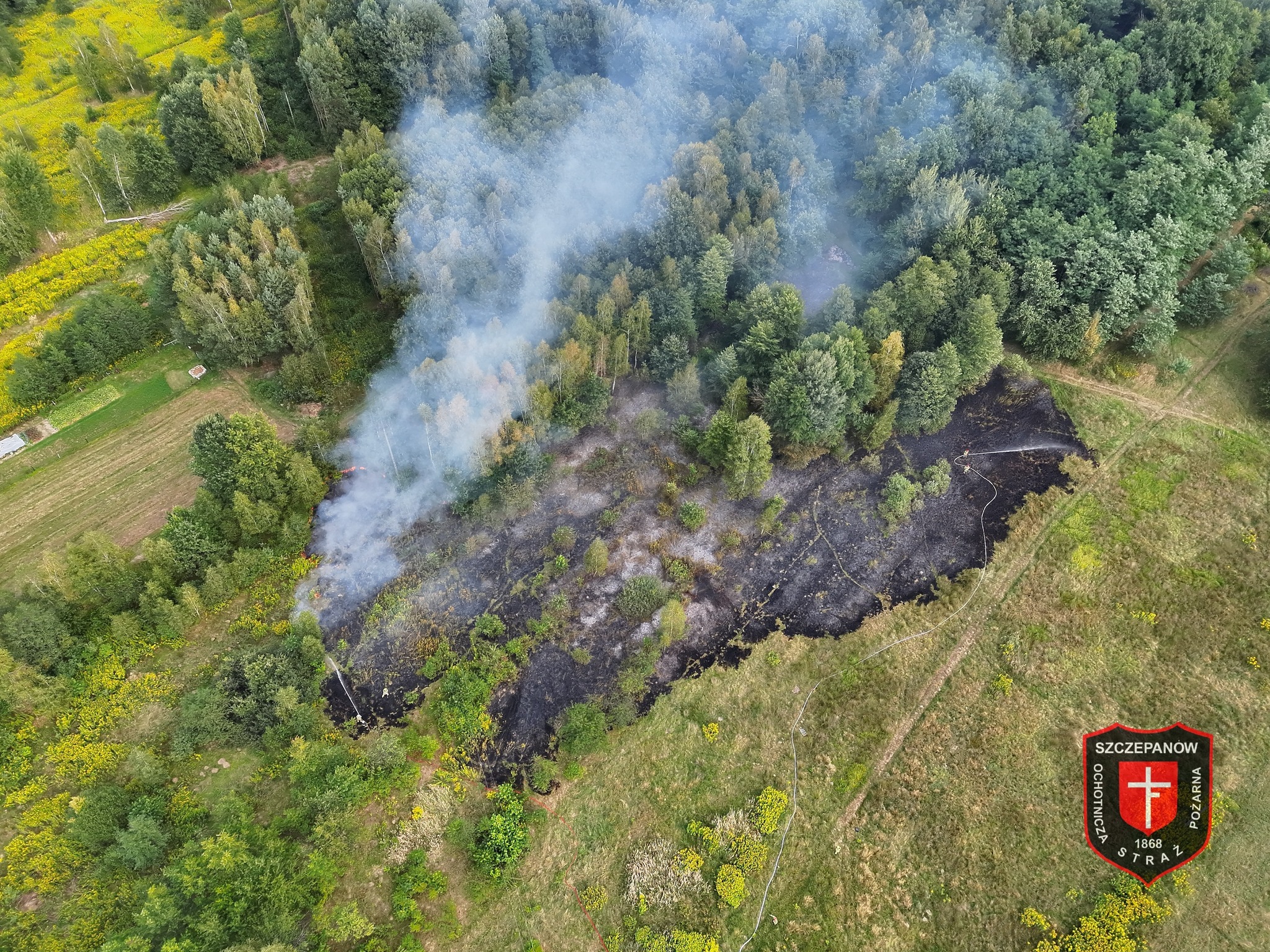 Mokrzyska. Pożar młodnika i łąki / zdjęcia
