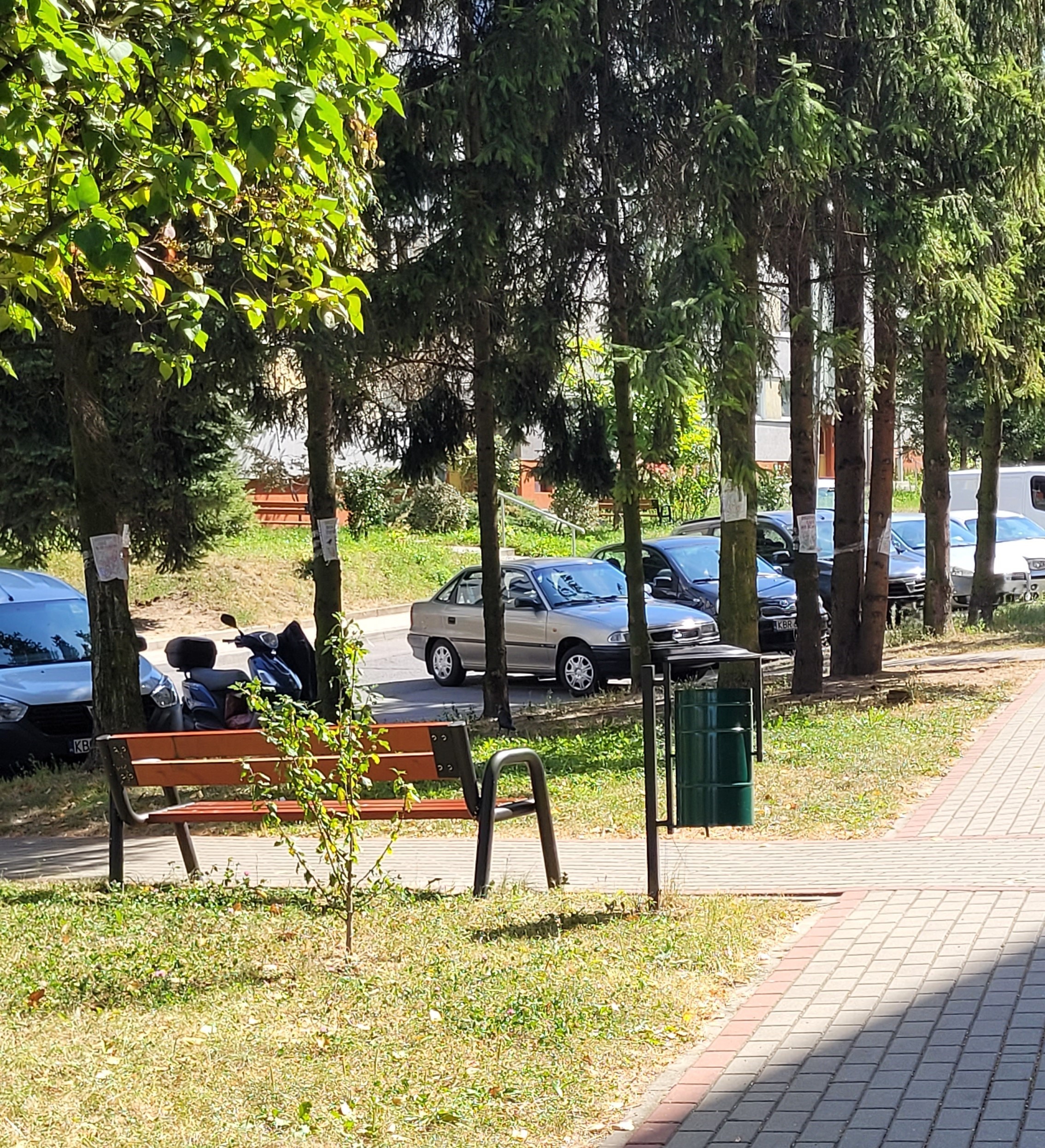 Mieszkańcy Osiedla Jagiełły bronią drzew przed wycinką!