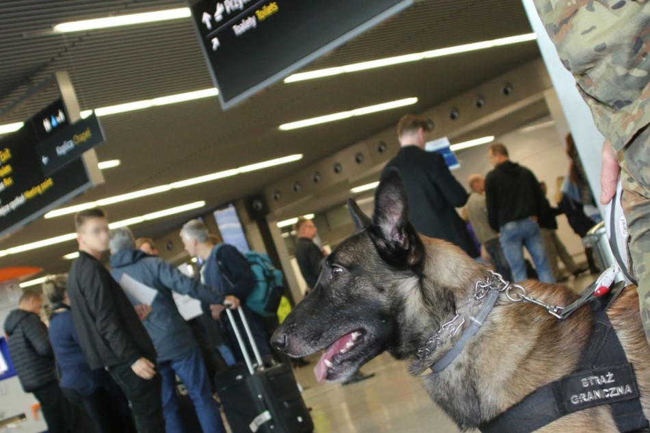 W jednym bagażu granat, a drugi bez właściciela