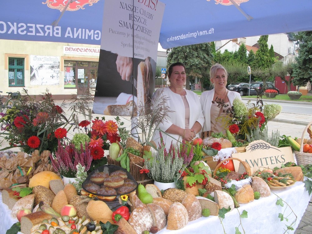 Brzesko. XXIV Diecezjalne Święto Chleba / zdjęcia