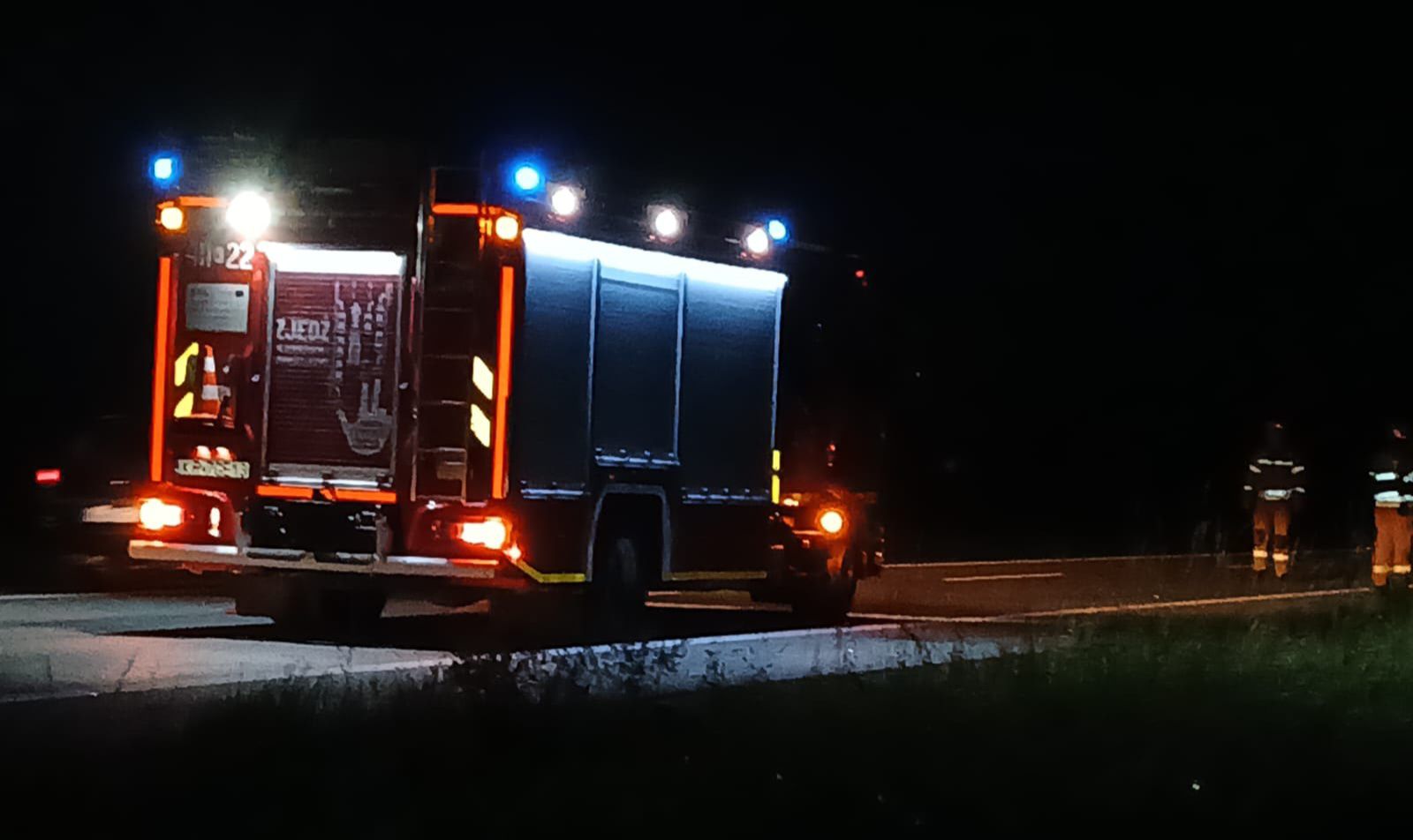 Rzeź dzików w Jadownikach. Kierowco uważaj!