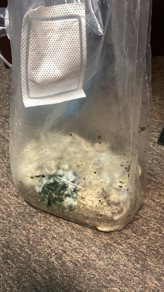 17-latek podejrzany o udzielanie środków odurzających nieletnim