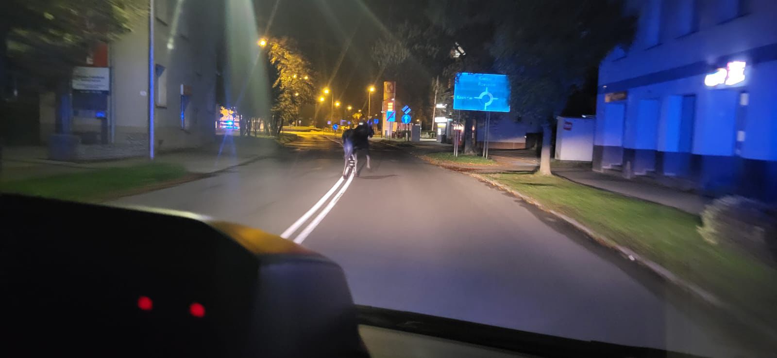 Łoś na ulicy Mickiewicza – nietypowa interwencja policjantów z Tarnowa