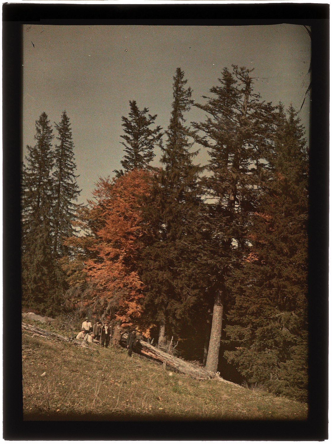 „Historie Światłoczułe” – składanie prac do konkursu tylko do 31 października