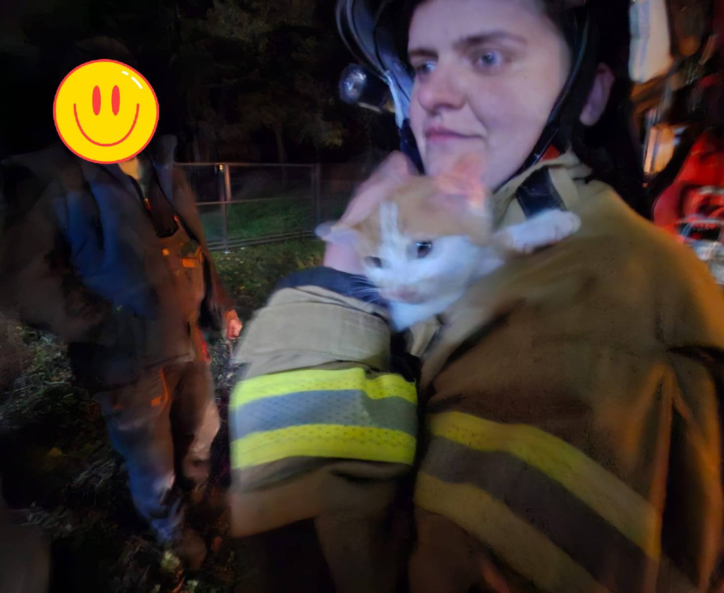 Strażacy z Jadownik uratowali małego kotka