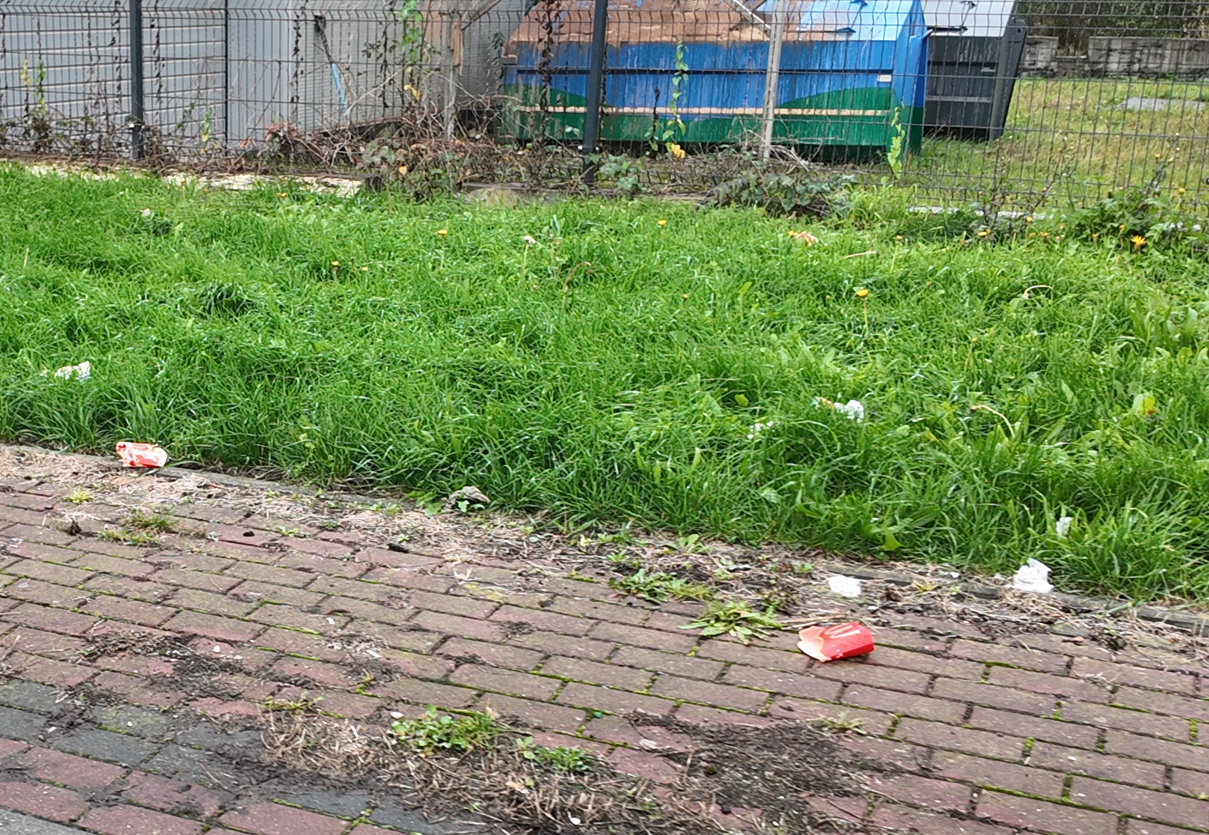 „Dziki” na ul. Biznesowej w Brzesku