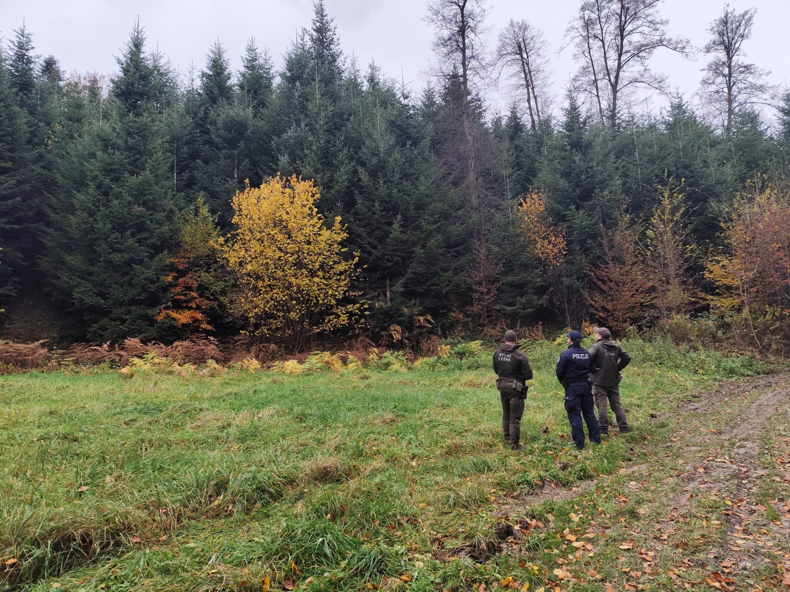 Policyjno-leśne patrole w gminie Tarnów. Zatrzymano motocyklistę