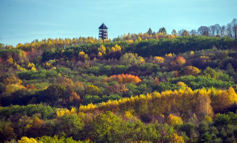 Drewniana wieża widokowa stoi na szczycie wzgórza porośniętego kolorowymi drzewami w jesiennych barwach — od zieleni po żółcie i czerwienie. Pod błękitnym niebem rozciąga się panorama lasu w pełni jesieni.