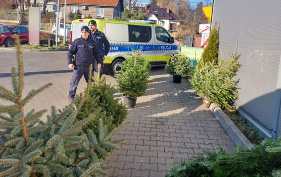 Bochnia. Dzielnicowi kontrolowali miejsca handlu choinkami