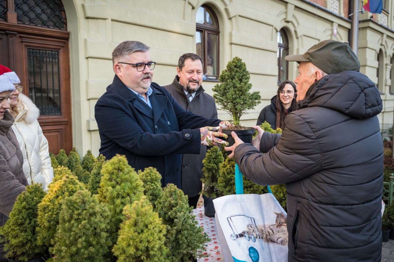 Ponad 500 naturalnych choinek za makulaturę – ekologiczna akcja Starosty / zdjęcia