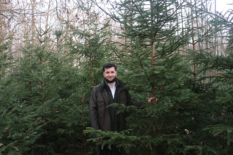 „Choinka dla życia”. Oddaj krew – odbierz choinkę. Leśnicy zapraszają do udziału w akcji