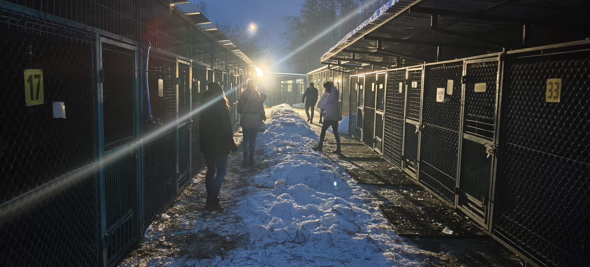 Ponowne kontrole w zarejestrowanych schroniskach w Oświęcimiu i Tarnowie wykazały brak uchybień. Stale monitorujemy sytuację