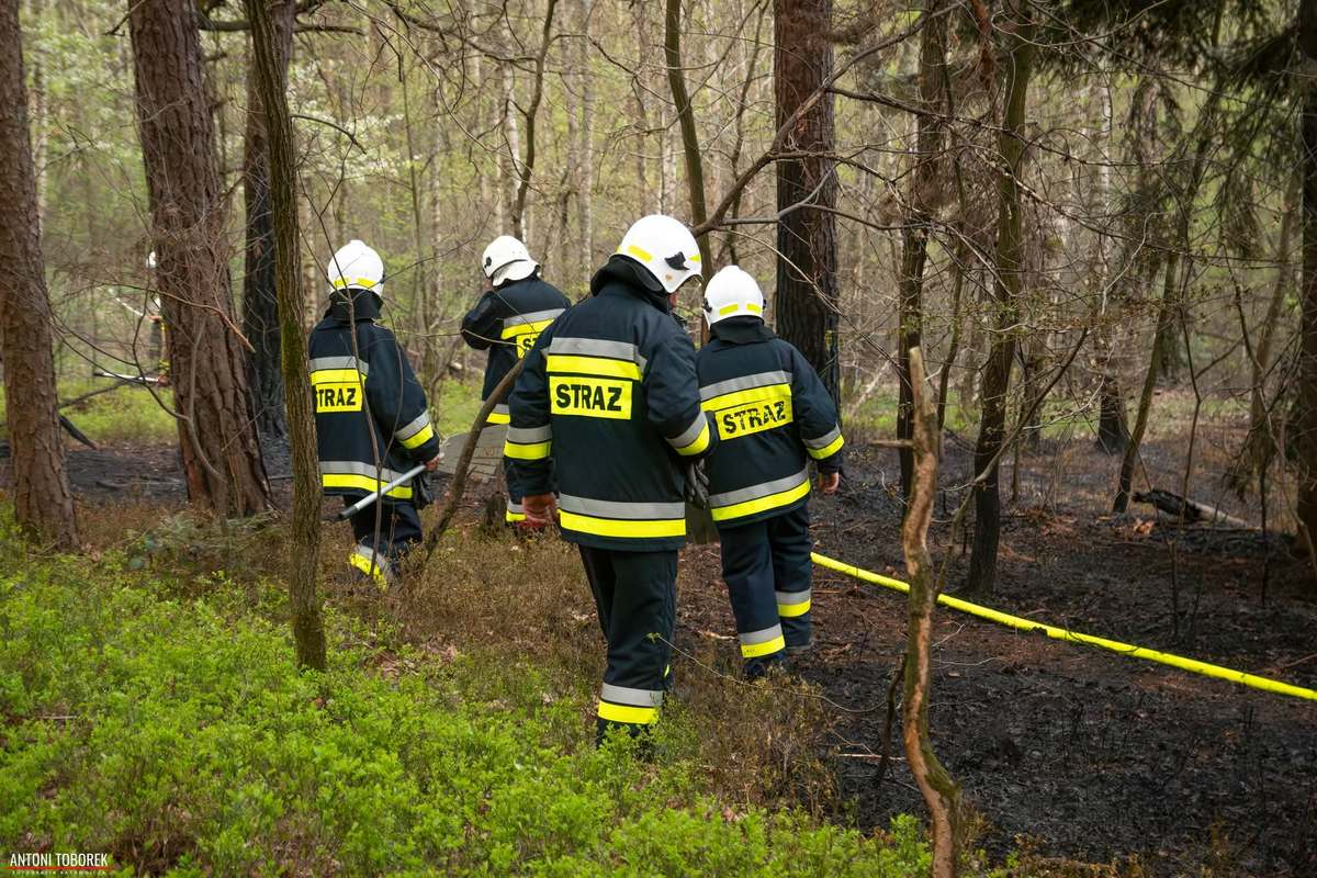 Policjanci z Nowego Wiśnicza ustalili osobę, która jest podejrzana o wywołanie kwietniowego pożaru lasu w Lipnicy Górnej i Rajbrocie