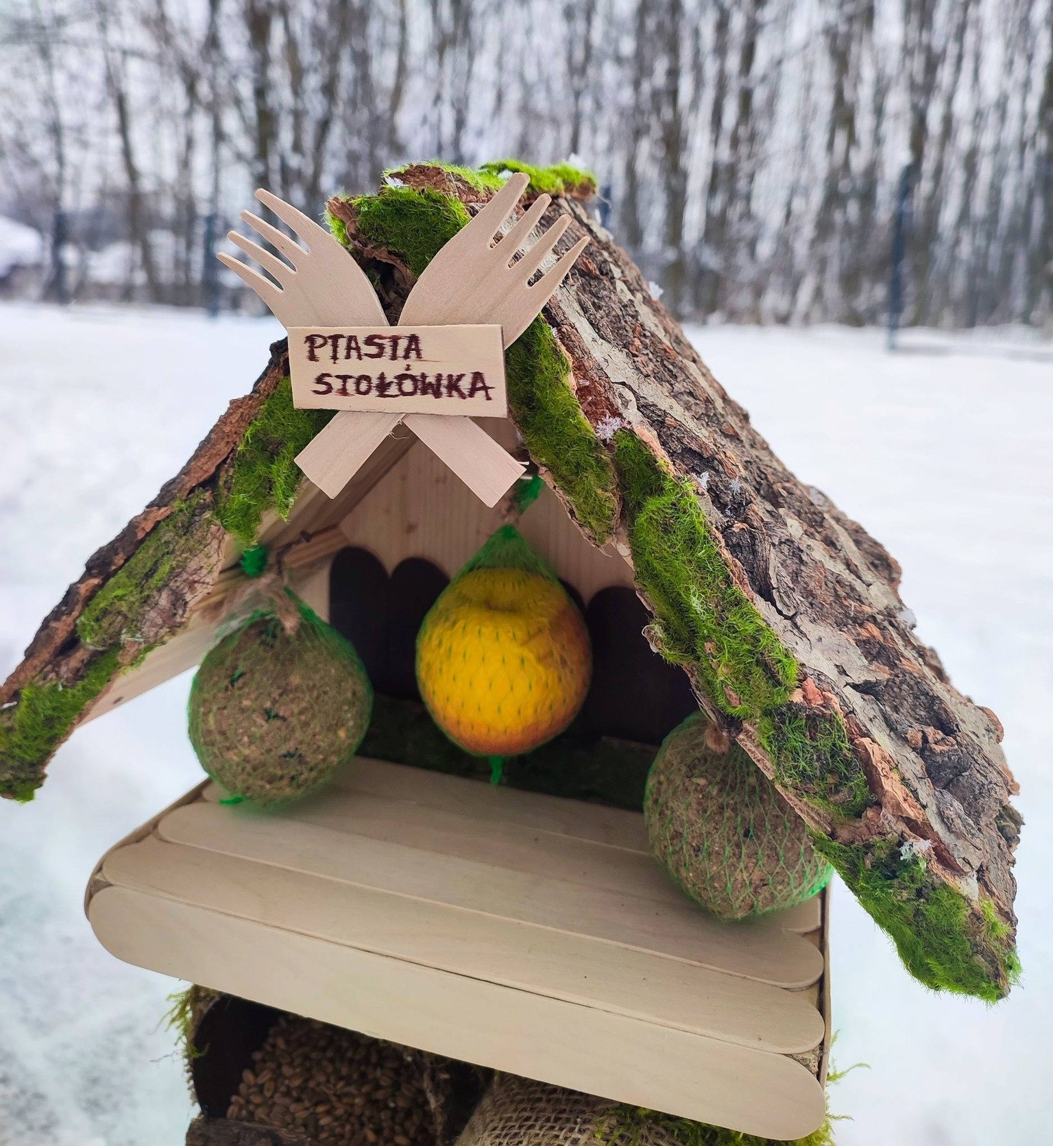 Zimą dokarmiajmy ptaki. Ale róbmy to z głową