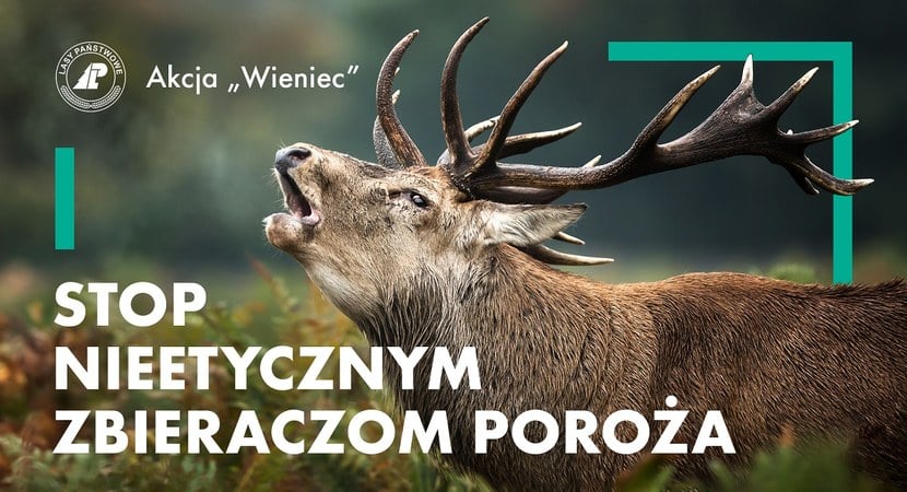 W lasach trwa akcja „Wieniec 2026”