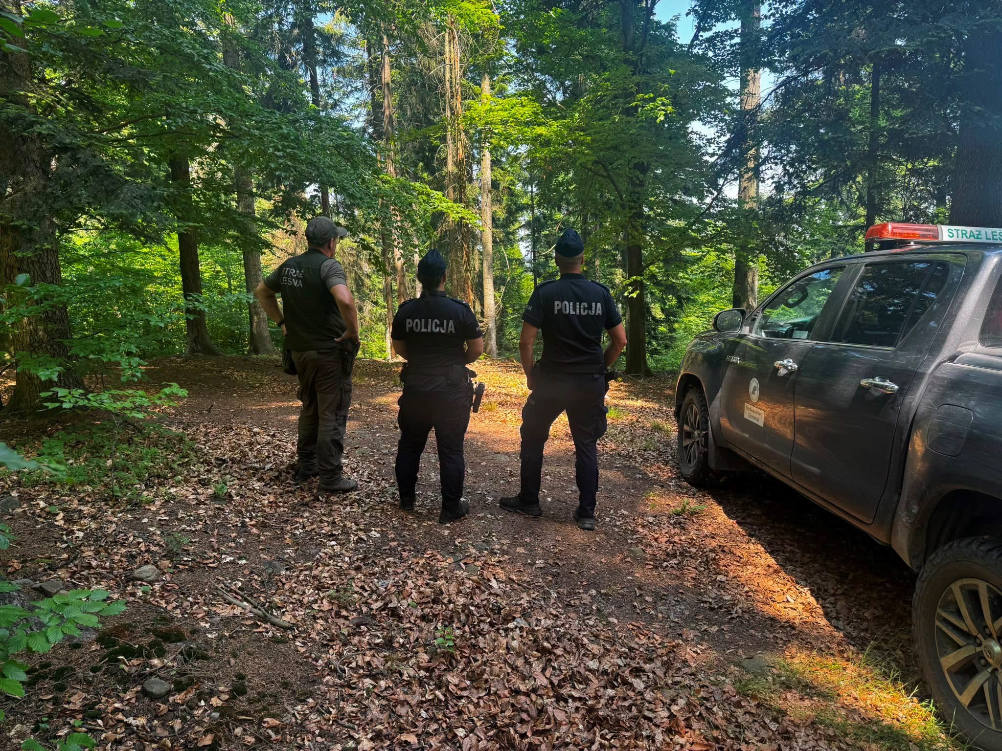 Wysokie zagrożenie pożarowe. W lasach pod Tarnowem pojawiły się wspólne patrole policji i Straży Leśnej
