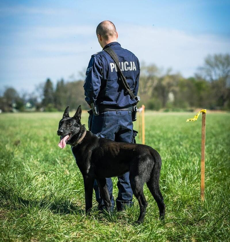 Brzesko. Pies – niezastąpiony partner policjanta