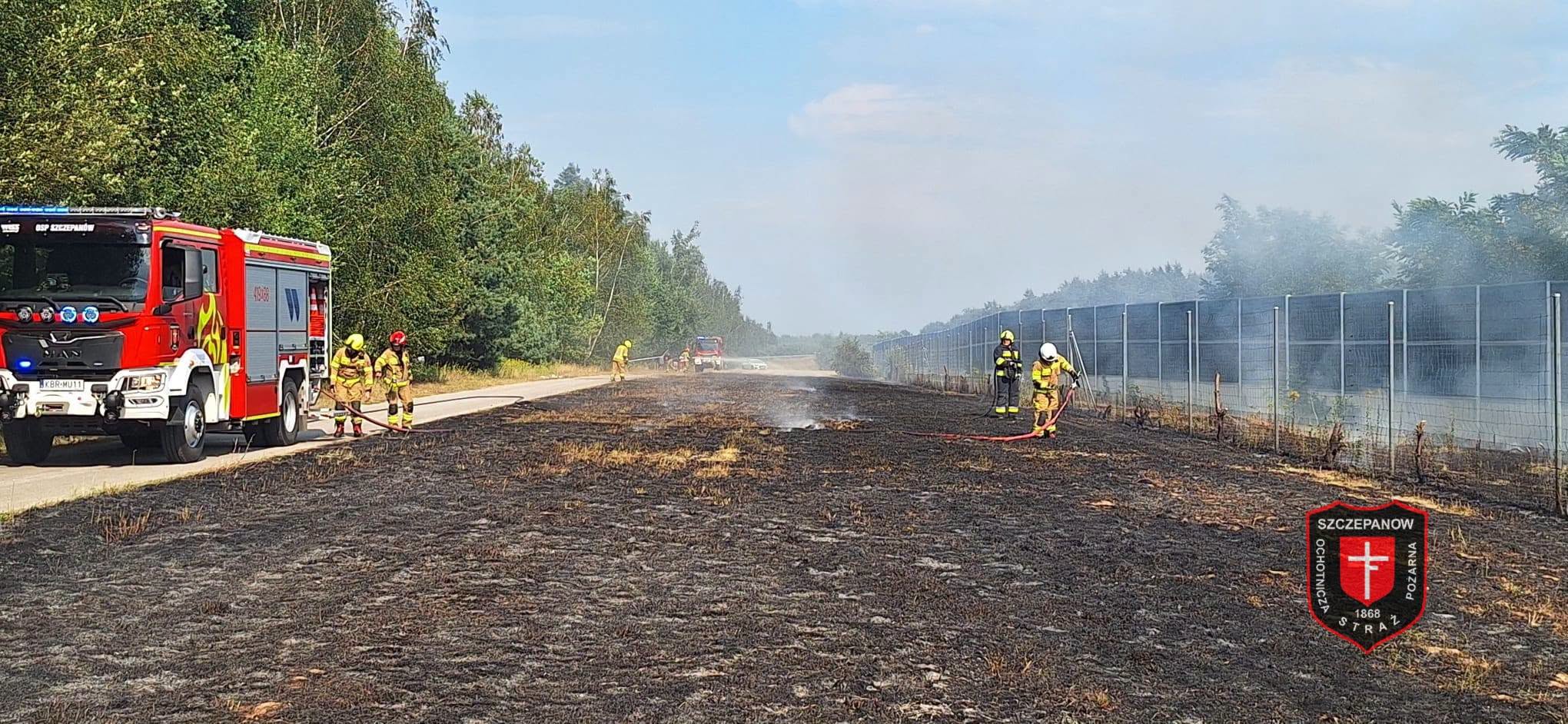 Pożar nieużytków przy autostradzie A4 w Szczepanowie. Dym był widoczny z kilku kilometrów