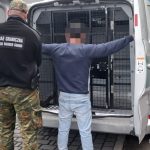 Kolumbijczycy zatrzymani w Bochni i Tarnowie za nielegalny pobyt w Polsce