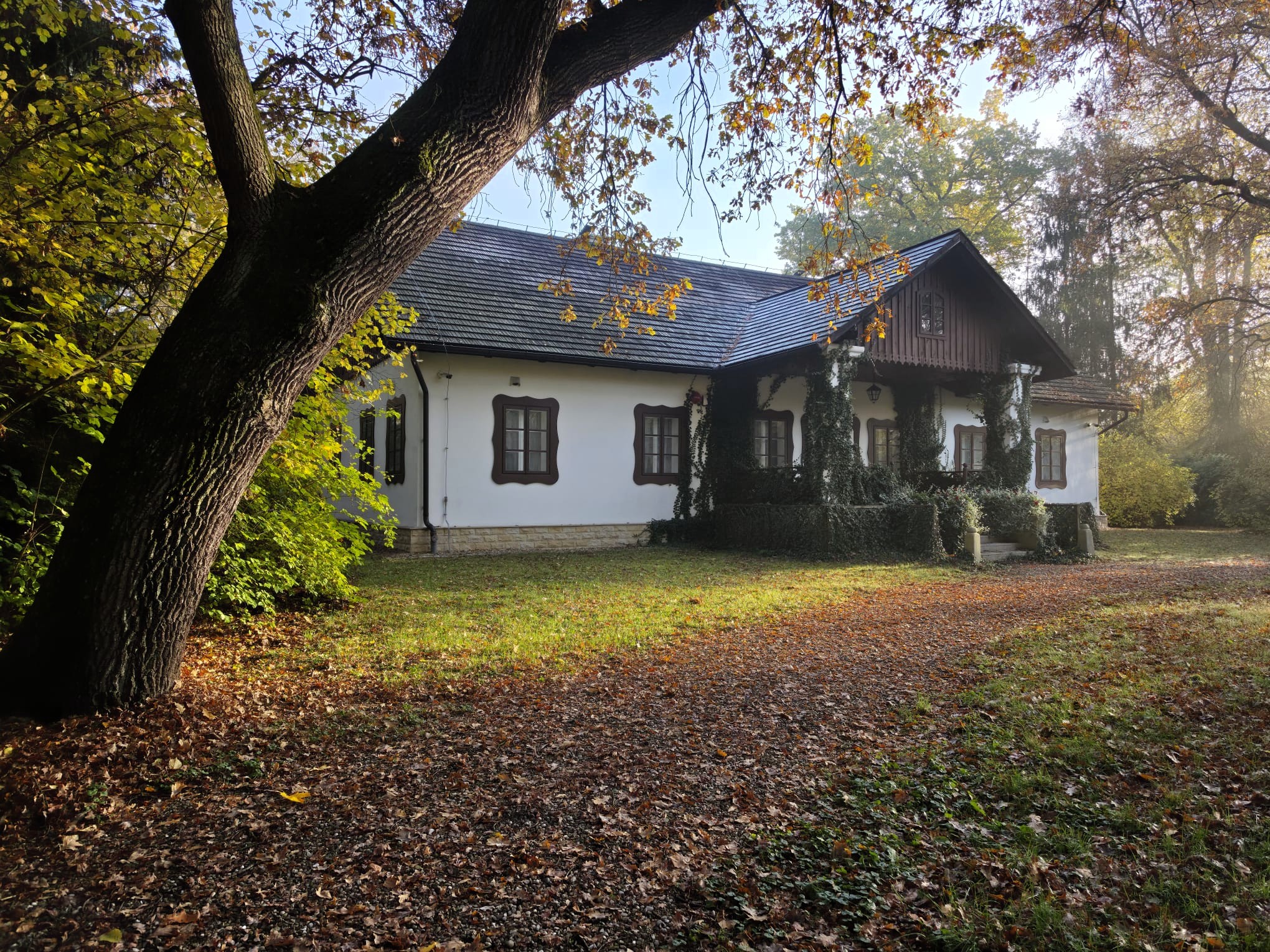 Koncert polskich pieśni w Muzeum Dwór w Dołędze / 9 listopada 2026 r.
